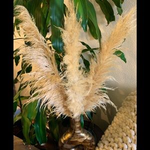 Natural Pampas Grass - 3 Stems (Vase not included)